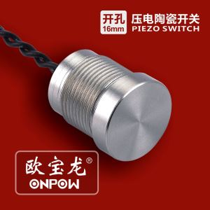 Piezoelectric Switch